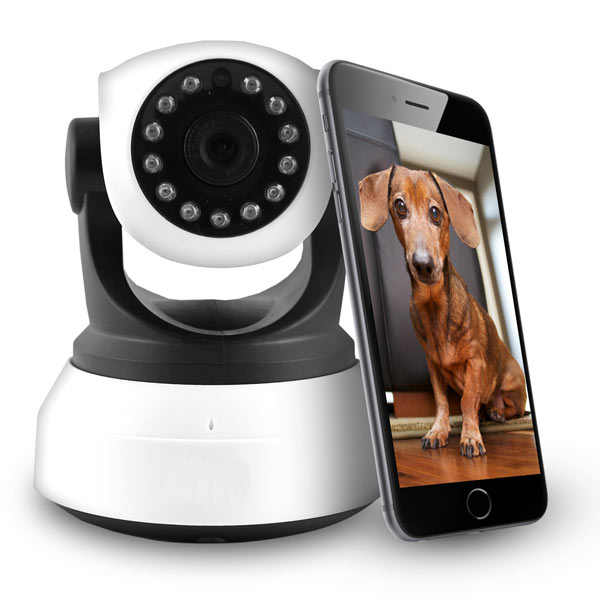 electriQ IQ-51FX IP Pet and CCTV Camera